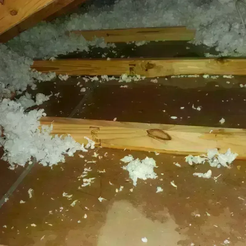 Attic Water Damage in Grandville, MI