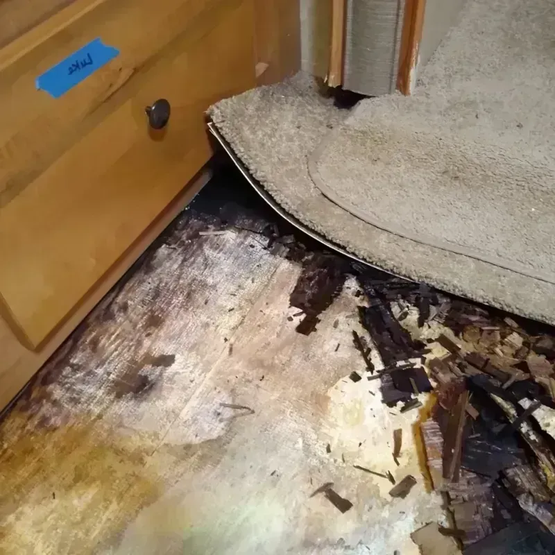 Wood Floor Water Damage in Grandville, MI